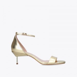 Kurt Geiger Birchin Aurii | IVHE5984
