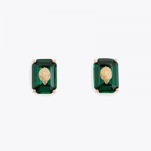 Kurt Geiger Crystal Stud Earrings Verzi | FAYR2206