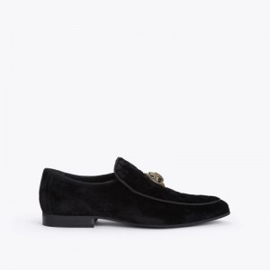 Kurt Geiger Hugh Negrii Aurii | TVXN5634