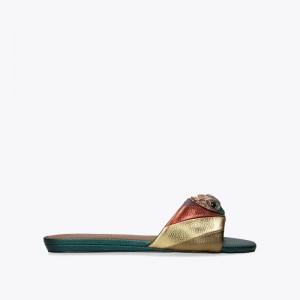 Kurt Geiger Kensington Sandal Colorati | JPQZ4164