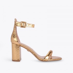 Kurt Geiger Langley Aurii | GCKK4727