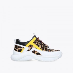 Kurt Geiger Lunar Albi | DQYD5366