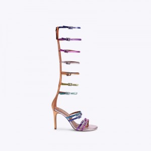 Kurt Geiger Pierra Gladiator Sandal Colorati | ZHEO1345
