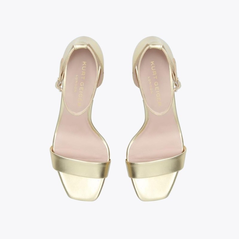 Kurt Geiger Birchin Aurii | IVHE5984