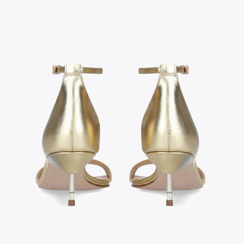 Kurt Geiger Birchin Aurii | IVHE5984