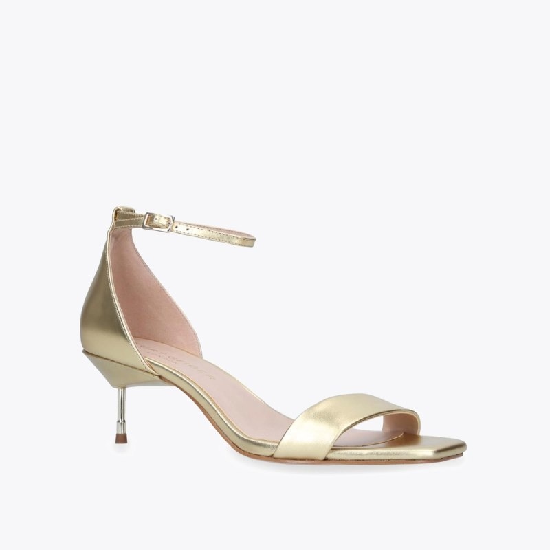 Kurt Geiger Birchin Aurii | IVHE5984