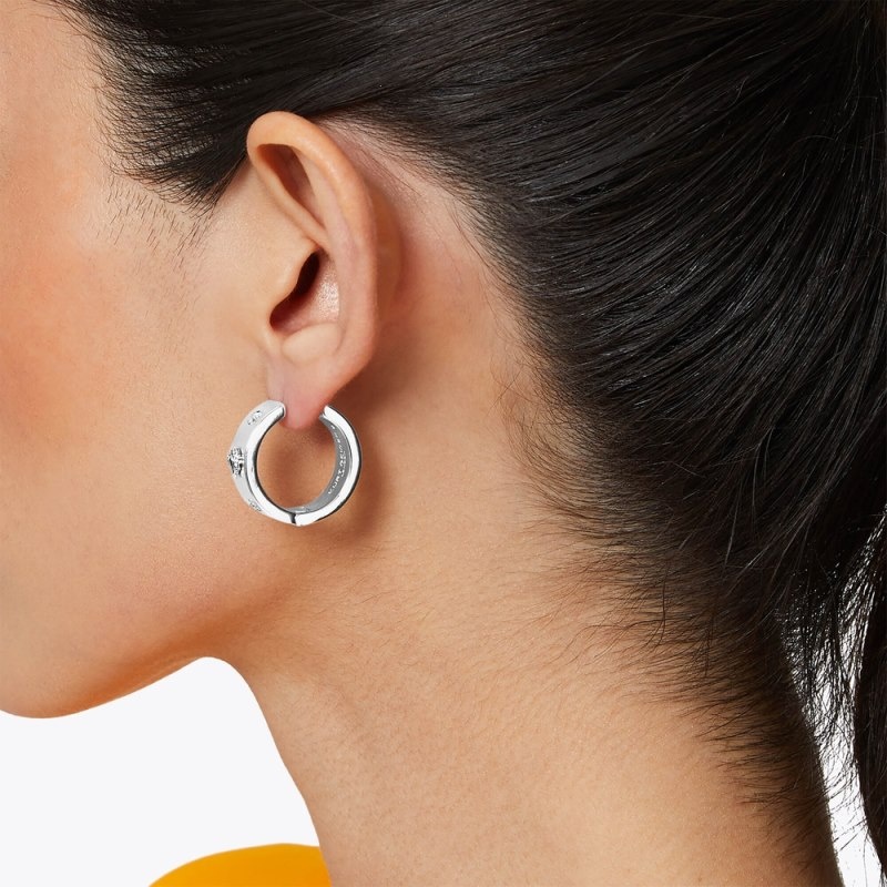 Kurt Geiger Eagle Hoop Earrings Argintii | GIJE2260