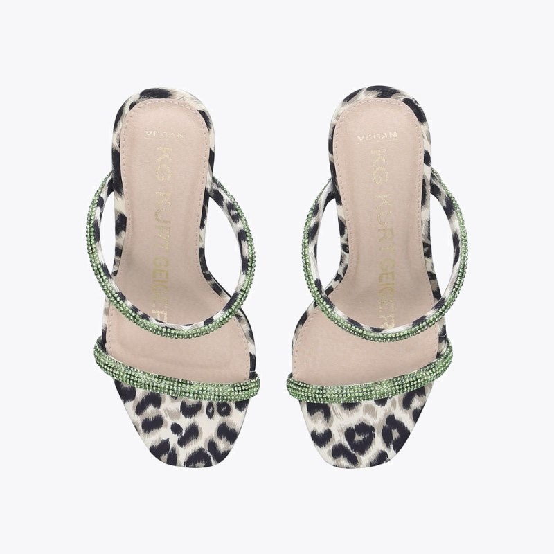 Kurt Geiger Foster Verzi | CLHQ9534