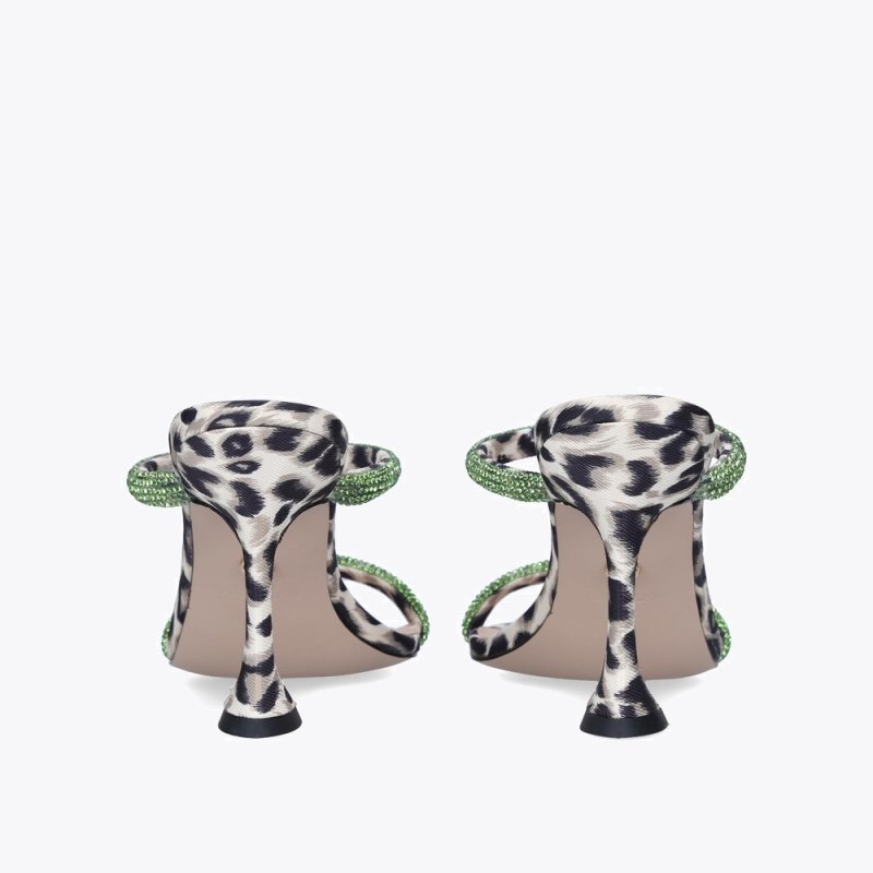 Kurt Geiger Foster Verzi | CLHQ9534
