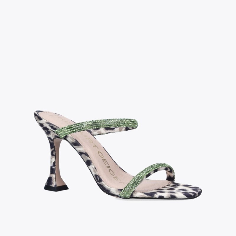 Kurt Geiger Foster Verzi | CLHQ9534