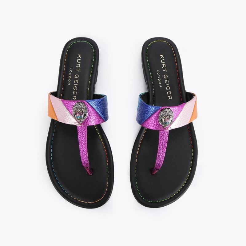 Kurt Geiger Kensington Colorati | XTGN1483