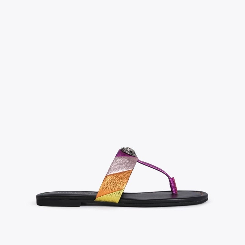 Kurt Geiger Kensington Colorati | XTGN1483