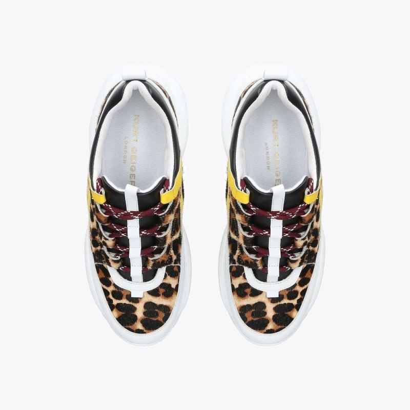 Kurt Geiger Lunar Albi | DQYD5366